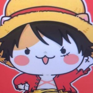 Meet your Posher, Ace